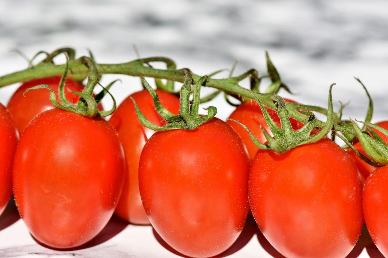 Zbog pesticida povučene talijanske svježe rajčice?!