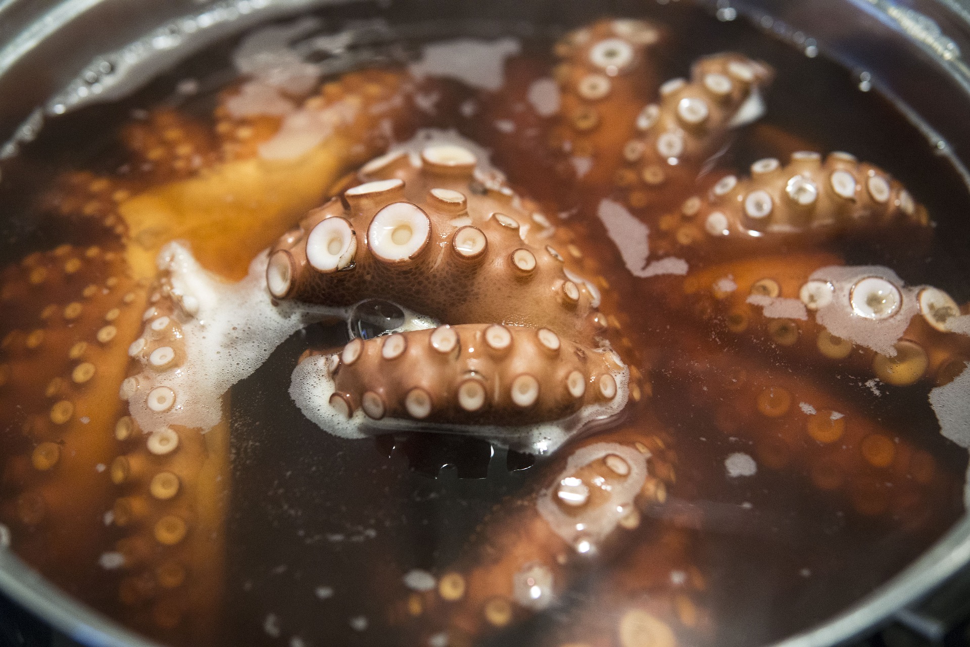 RECEPT Pašteta od hobotnice