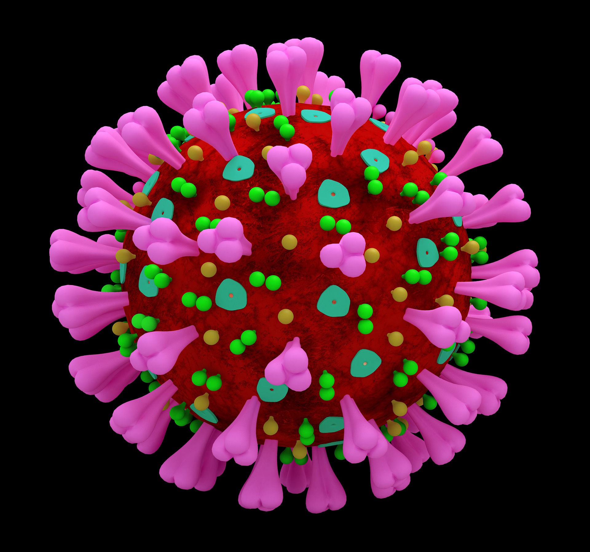 Novi koronavirus otkriven među glodavcima u Švedskoj