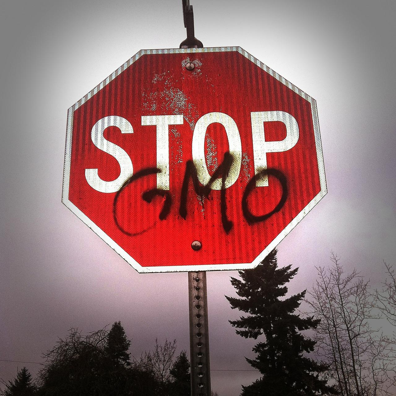 Pokrenuta izrada Zakona o označavanju hrane proizvedene bez GMO-a