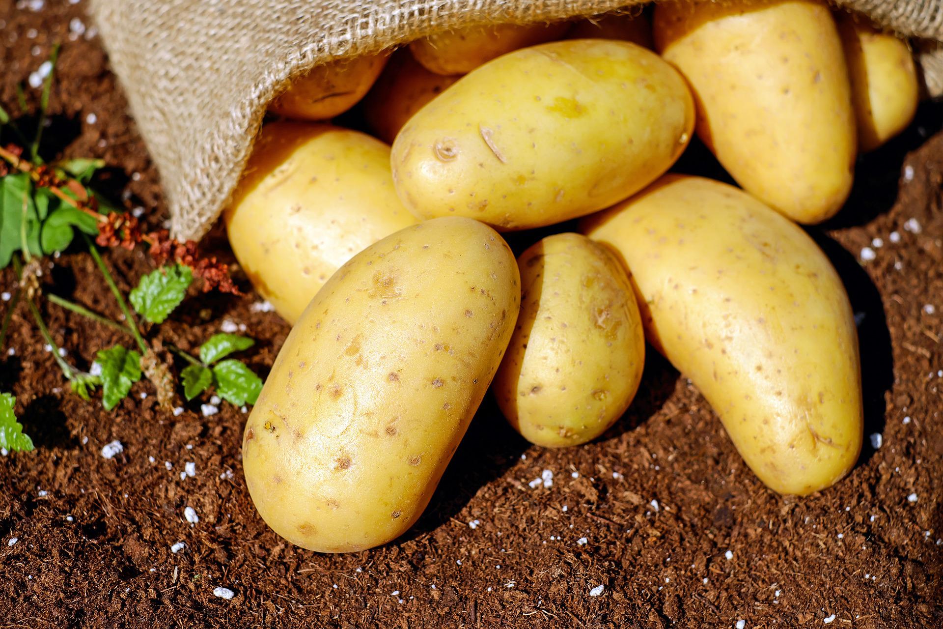 Znanstvenici otkrili najzdraviji način pripreme krumpira
