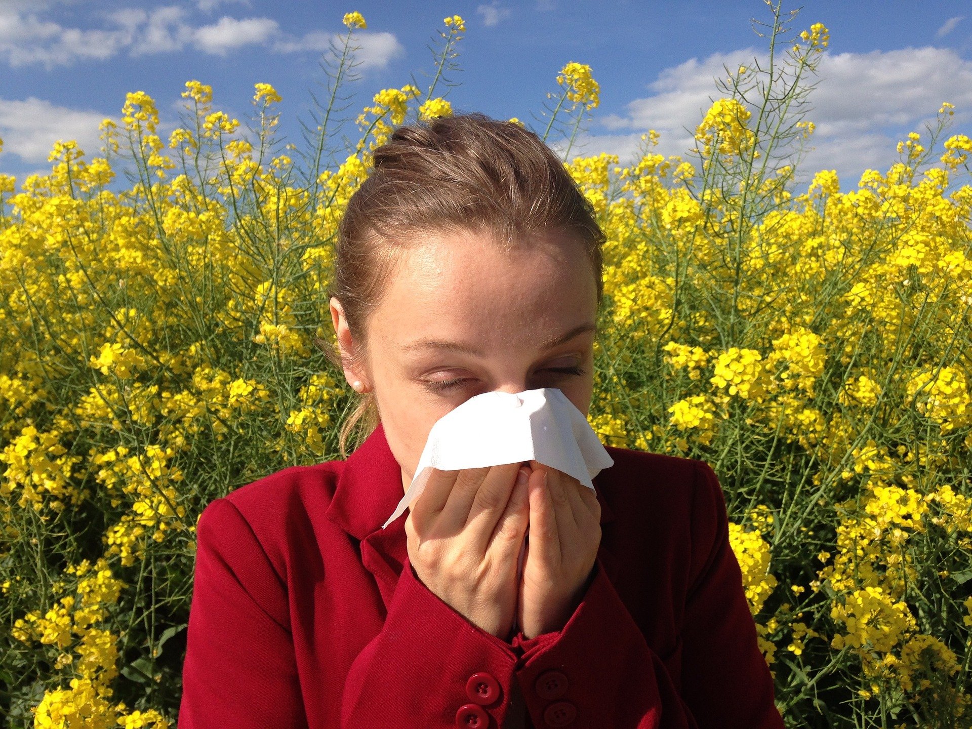 SEZONA AMBROZIJE Savjeti za borbu s alergijom