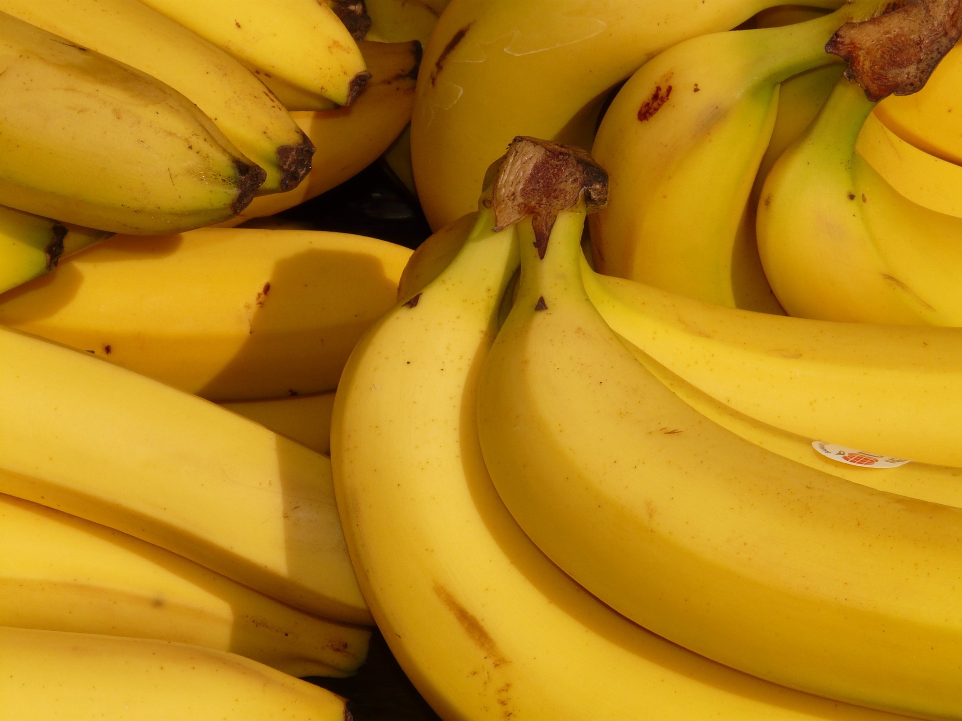 Otkriveno da banane imaju čudne setove kromosoma i misteriozne ‘pretke’