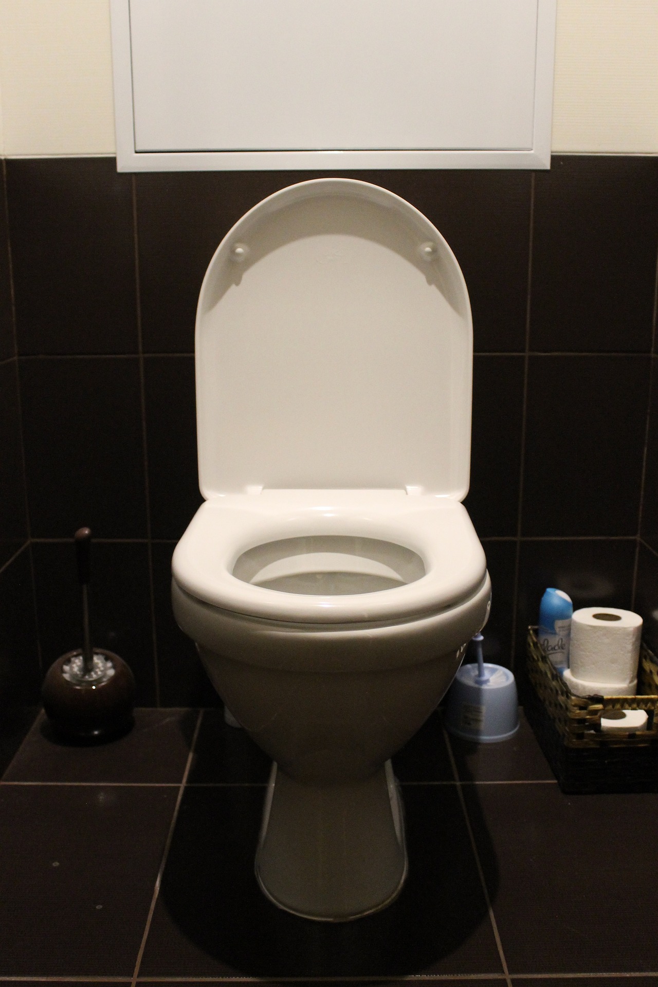 VIDEO Predstavljen novi uređaj koji se postavlja u WC školjku i analizira urin korisnika